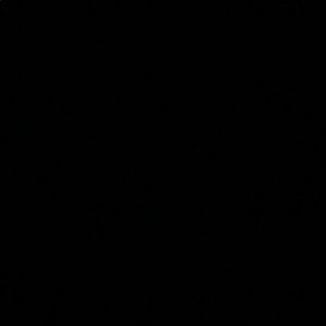 Meet your Posher, Dennis